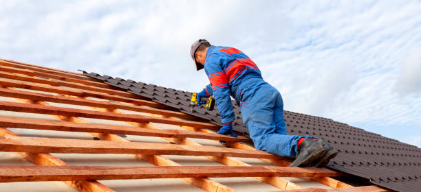 Best Asphalt Shingle Roofing  in Clarendon Hls, IL